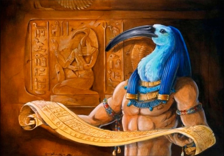 ibis-threskiornithinae-informaci-n-caracter-sticas-y-curiosidades